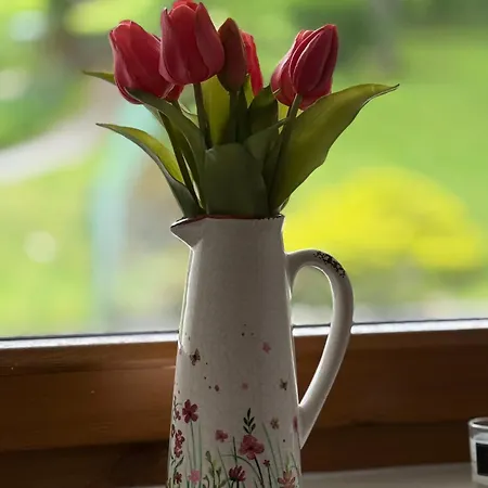 Boutique Mit Blick Auf Den Plomberg * Sankt Gilgen