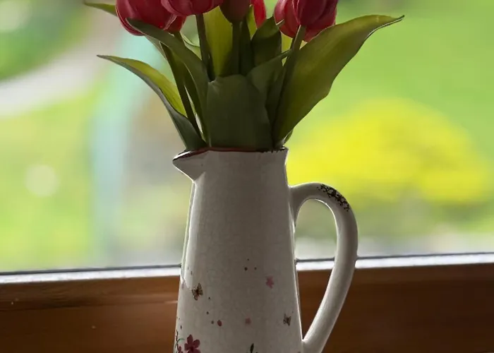 Boutique Mit Blick Auf Den Plomberg * Sankt Gilgen
